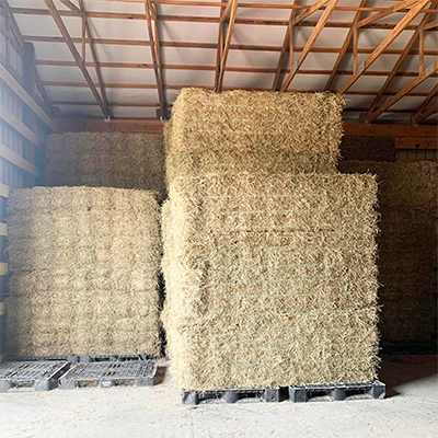 Need Hay?