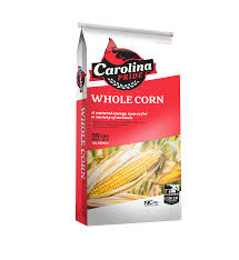 Whole Corn