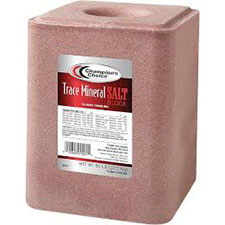 Trace Mineral Block