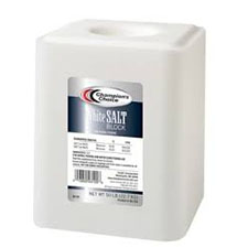 White Salt Block