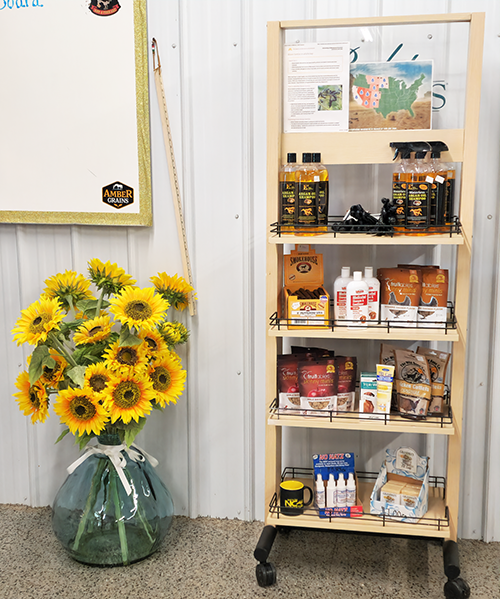 Sunflower